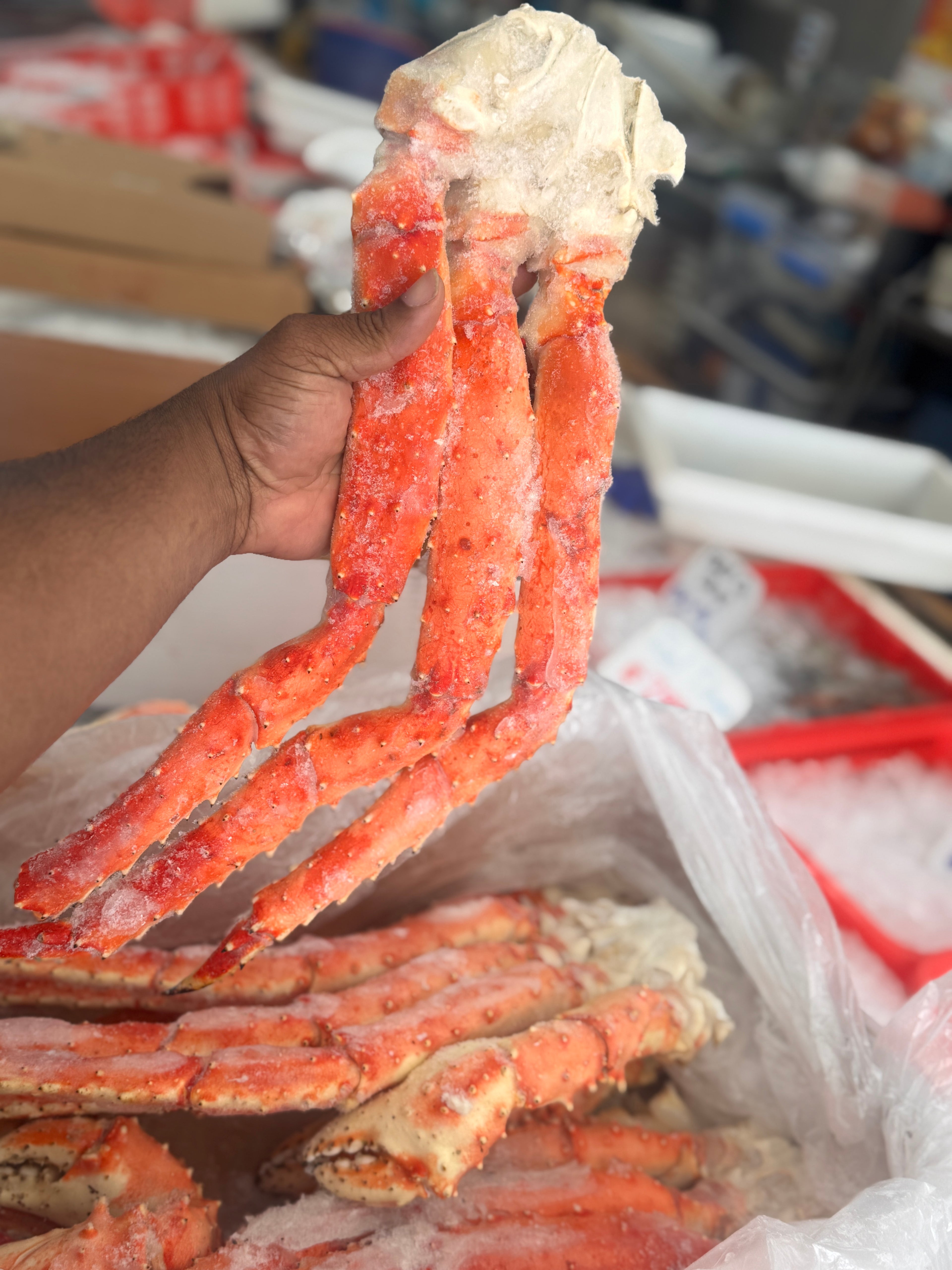 Alaskan King Crab 4L (SOLD OUT)