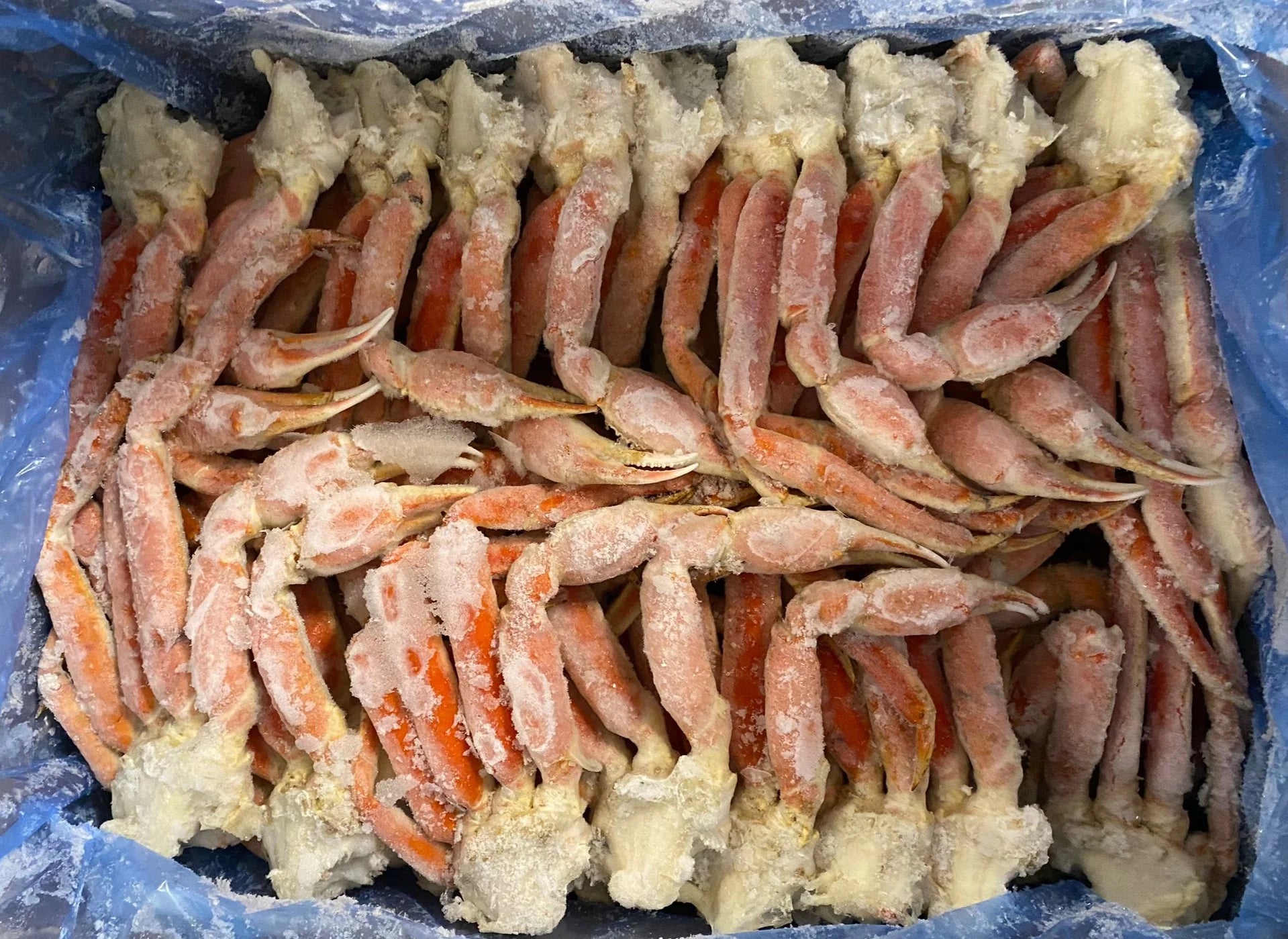 Premium Alaskan Snow Crab Legs