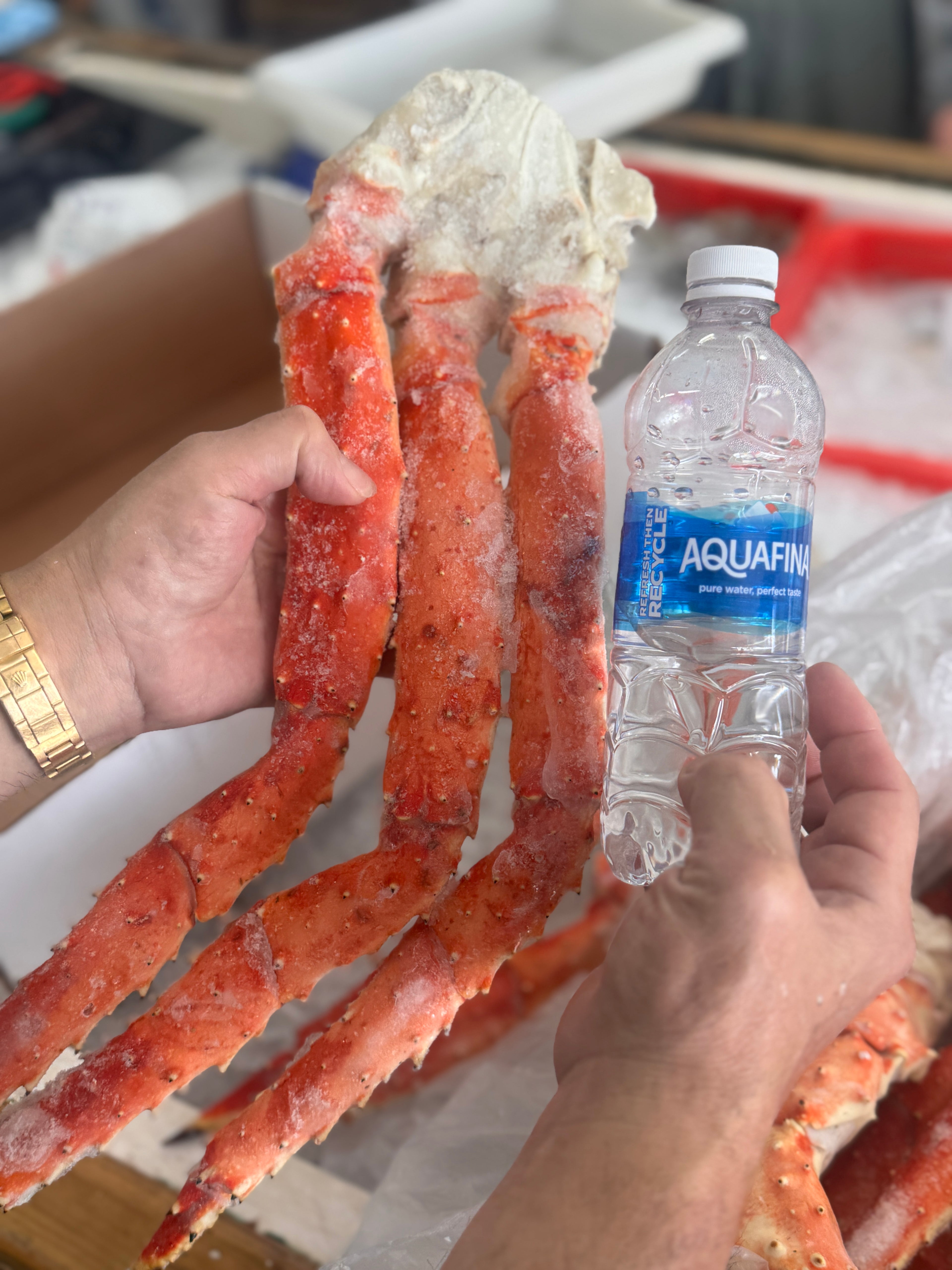 Alaskan King Crab 4L (SOLD OUT)