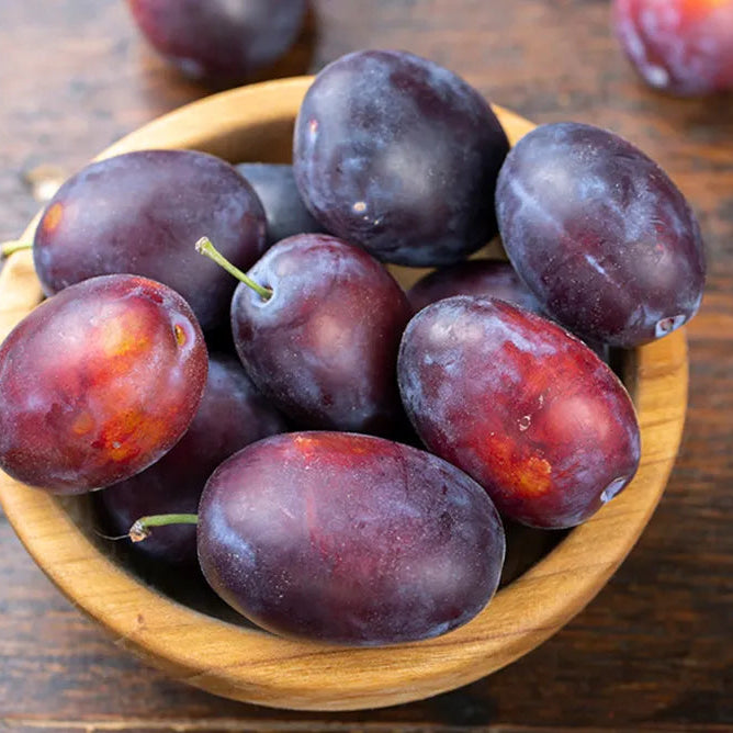 Damson Plum Jam – 18 oz (All Natural, Small Batch Fruit Spread)