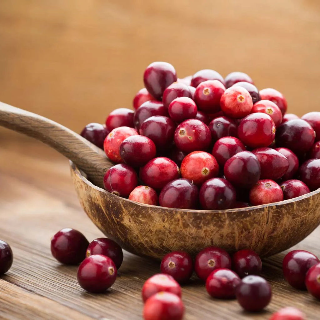 Pure Cranberry Honey – 16 oz (Non-GMO, All Natural)