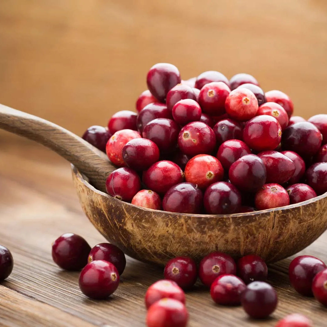 Pure Cranberry Honey – 16 oz (Non-GMO, All Natural)