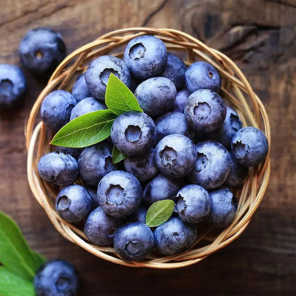Blueberry Jam – 18 oz (All Natural, Small Batch, Classic Spread)